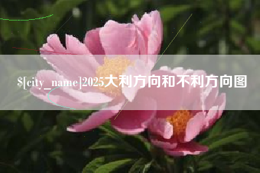 湖州2025大利方向和不利方向图