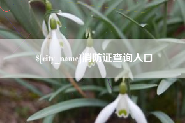 湖州消防证查询入口