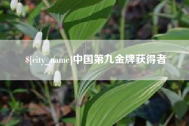 湖州中国第九金牌获得者