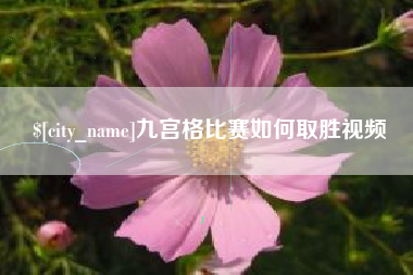 湖州九宫格比赛如何取胜视频