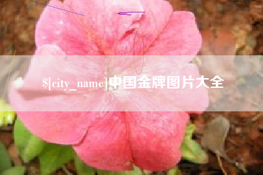 湖州中国金牌图片大全