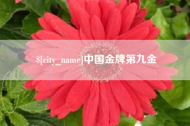 湖州中国金牌第九金