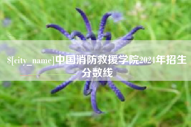 湖州中国消防救援学院2024年招生分数线