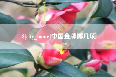 湖州中国金牌哪几项