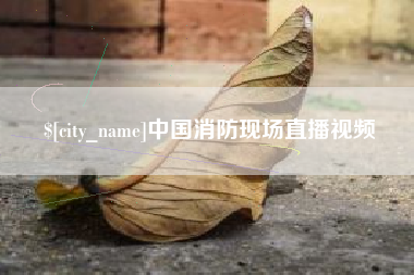 湖州中国消防现场直播视频