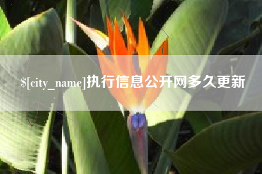 湖州执行信息公开网多久更新