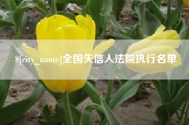湖州全国失信人法院执行名单