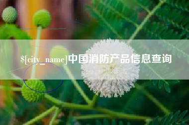 湖州中国消防产品信息查询