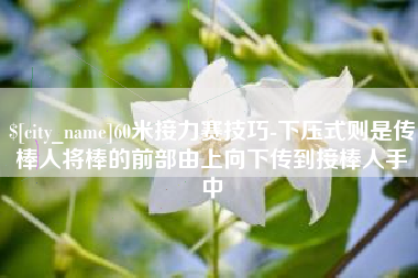 湖州60米接力赛技巧-下压式则是传棒人将棒的前部由上向下传到接棒人手中