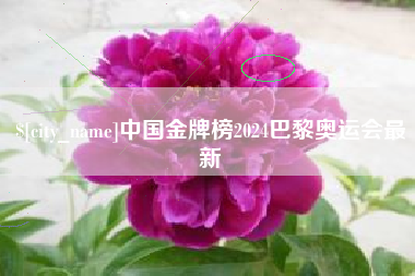 湖州中国金牌榜2024巴黎奥运会最新