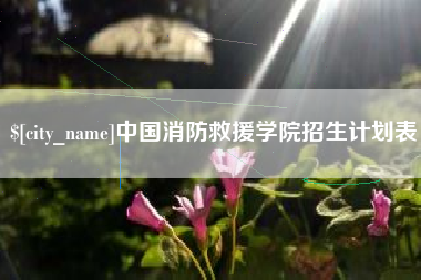 湖州中国消防救援学院招生计划表