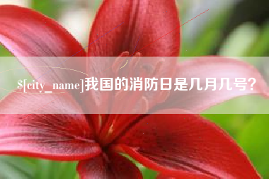 湖州我国的消防日是几月几号？