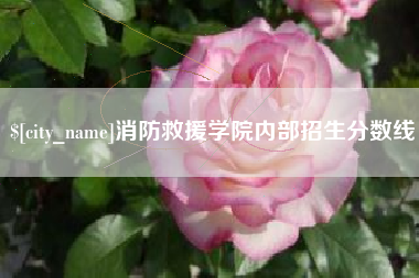 湖州消防救援学院内部招生分数线