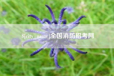 湖州全国消防招考网