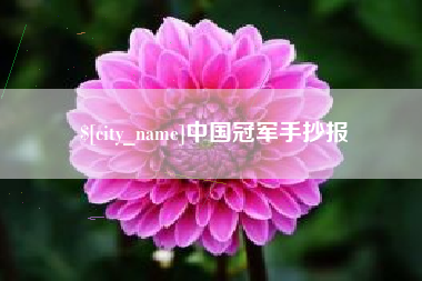 湖州中国冠军手抄报