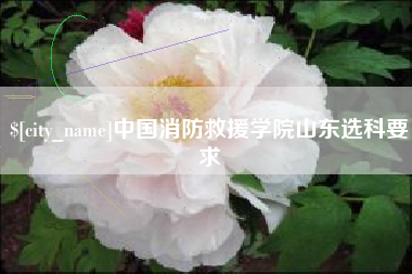 湖州中国消防救援学院山东选科要求
