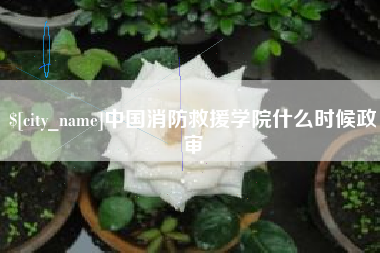 湖州中国消防救援学院什么时候政审