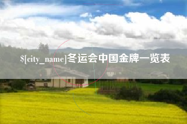 湖州冬运会中国金牌一览表