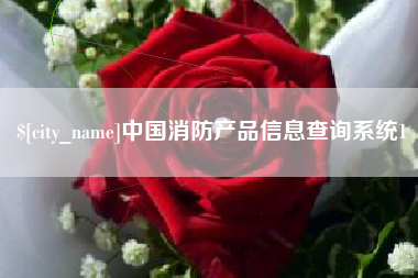 湖州中国消防产品信息查询系统1