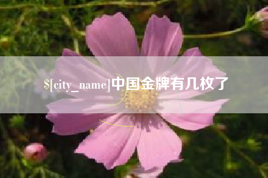 湖州中国金牌有几枚了