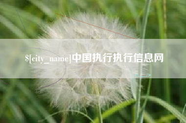 湖州中国执行执行信息网