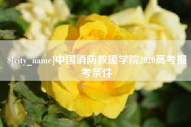 湖州中国消防救援学院2020高考报考条件