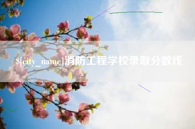 湖州消防工程学校录取分数线
