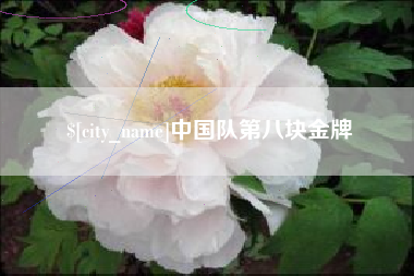 湖州中国队第八块金牌