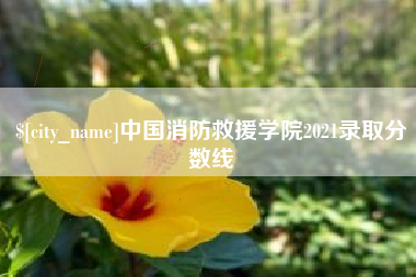 湖州中国消防救援学院2021录取分数线