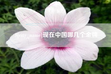 湖州现在中国哪几个金牌