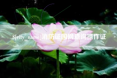湖州消防证国网查询操作证