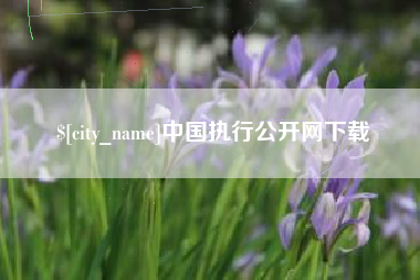 湖州中国执行公开网下载