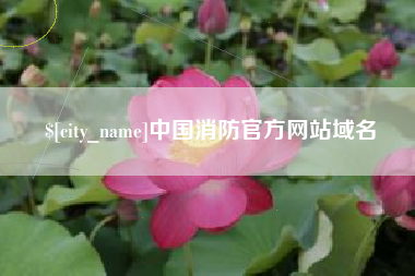 湖州中国消防官方网站域名