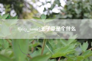 湖州王子豪是个什么