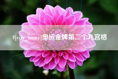 湖州奥运金牌第二个九宫格