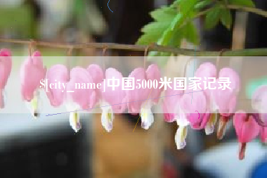 湖州中国5000米国家记录