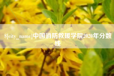 湖州中国消防救援学院2020年分数线