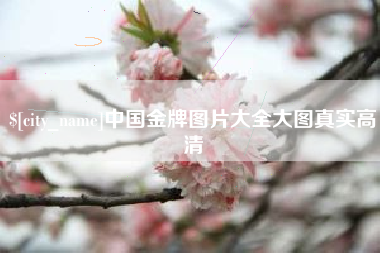 湖州中国金牌图片大全大图真实高清