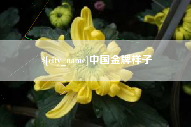 湖州中国金牌样子