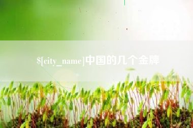 湖州中国的几个金牌