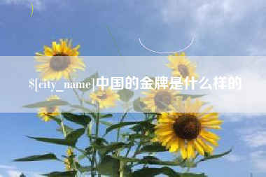 湖州中国的金牌是什么样的