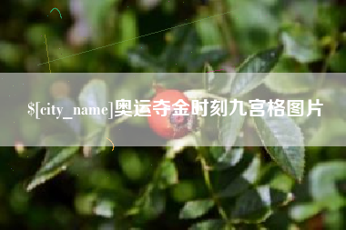 湖州奥运夺金时刻九宫格图片