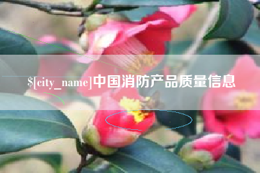 湖州中国消防产品质量信息