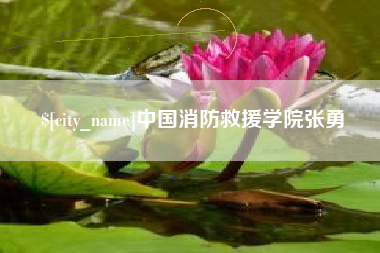 湖州中国消防救援学院张勇