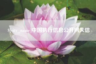 湖州中国执行信息公开网失信