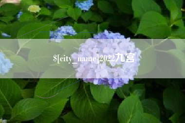 湖州2022九宫