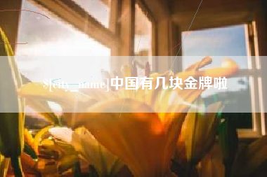湖州中国有几块金牌啦