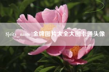 湖州金牌图片大全大图卡通头像