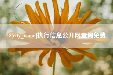 湖州执行信息公开网查询免费