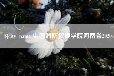 湖州中国消防救援学院河南省2020